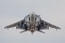 Harrier