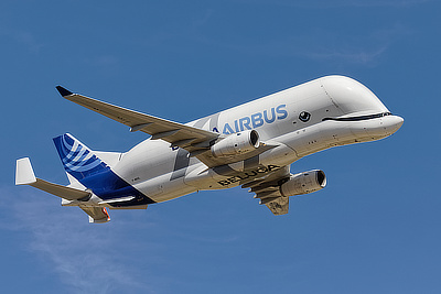 Beluga