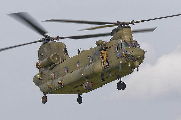 Chinook