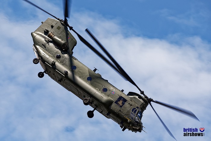 Chinook