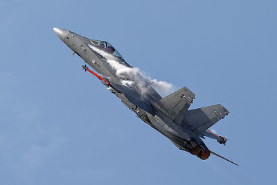 Hornet, Finnish Air Force