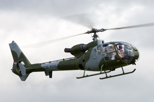 Gazelle