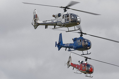 Gazelle Squadron