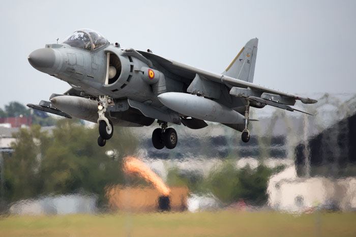 Harrier
