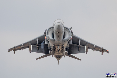 Harrier