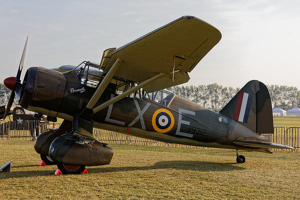 Lysander