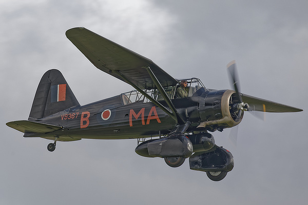 Lysander