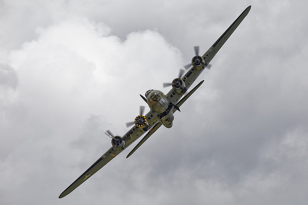 Sally B 