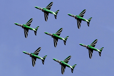 Saudi Hawks