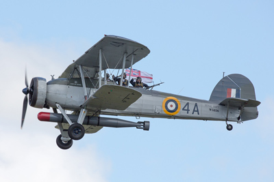 Swordfish