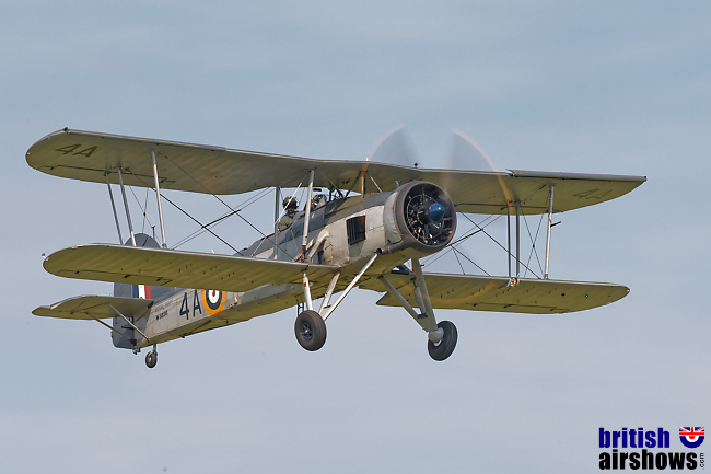 Swordfish