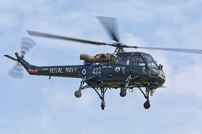 Navy Wings Wasp