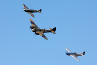 Blenheim group at Goodwood Revival