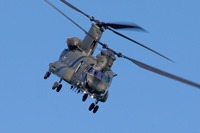 Chinook