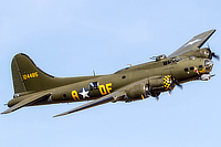 Sally B