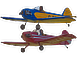Monoplane Display Team