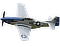 Mustang 'Miss Helen'