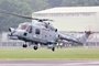 RN Lynx of the 'Black Cats'
