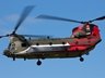 Chinook