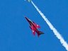 Gnat Display Team
