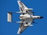 Sea Vixen