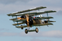 Fokker Dr1s
