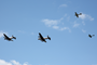 UK and Canadian Lancasters with BBMF fighters