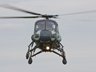 Westland Wasp