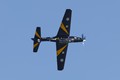 Tucano