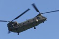Chinook