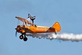 Wingwalkers