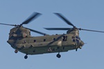 Chinook 0598