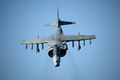 Harrier (2005)