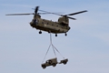 Chinook