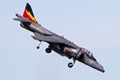 Harrier