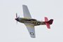 P-51D Mustang (2016)