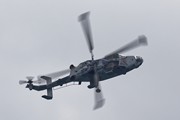 Royal Navy Wildcat 7804