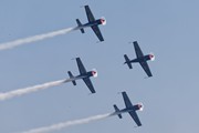 The Blades 9450
