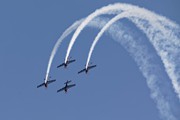 The Blades 9456
