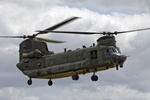 Chinook 5691