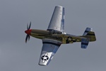 Mustang 6511
