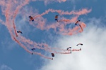 RAF Falcons 5519