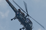 Westland Wasp 7406