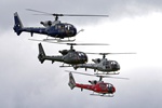 Gazelle Squadron 4749