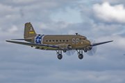 916A8203mayfly