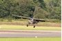 Auster