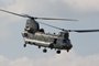 Chinook