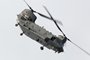 Chinook