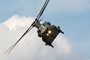Chinook