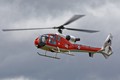 916A0422gazelle_xx436_a
